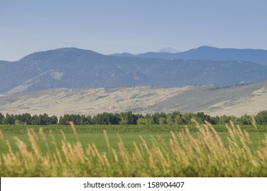 4,090 Fort Collins Colorado Images, Stock Photos & Vectors 