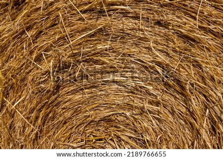 Similar – Image, Stock Photo #S# Straw spiral Nature