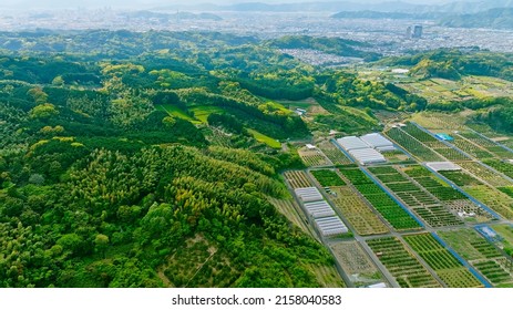 Agricultural field and modern city aerial view. Environment concept.