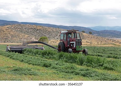 Agricultural field on a farmer cutting alfalfa in rows. Green fields being harvested for animal feed.  Late summer harvest outside. Nature and agriculture farming.