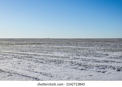 Agricultural Field Of Winter Wheat In Winter Under Snow