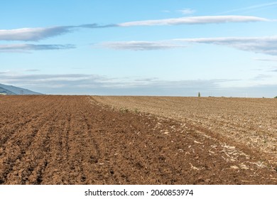 Agricultural Fields In Autumn. Alsace, France, Europe..