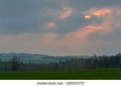 agricultural fields in springtime