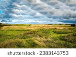 Agricultural fields under a cloudy sky. Farmland in cloudy day. Agriculture farm field landscape. Agricultural field view