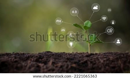 agricultural growth concept It has both the benefits of soil and plants. Including the use of artificial intelligence agriculture technology in 5G Industry 4.0 technology that needs to be improved. ai