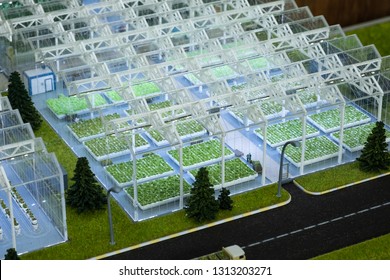 Agricultural Industry Layout Greenhouse Stock Photo 1313203271 ...