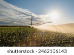 Agricultural irrigation system watering corn field on sunny spring day.