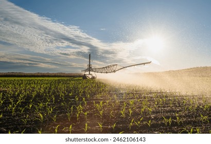 Agricultural irrigation system watering corn field on sunny spring day. - Powered by Shutterstock