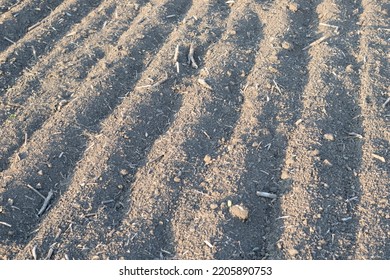 Agricultural Land Chernozem Soil Sour Natural Texture