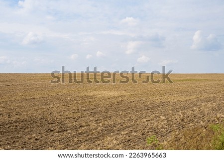 agricultural landscape after harvest, countryside. mown grain in the field, straw in the fields. Summer day in the countryside. plowed land