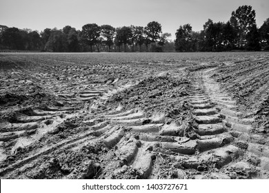 Agricultural Landscape Brabant Baarle Nassau