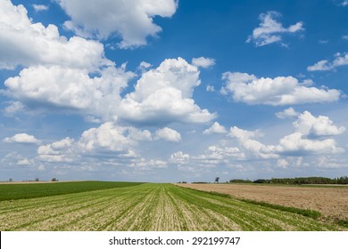 Agricultural Landscape, Plowed Role, Clouds On The Horizon.