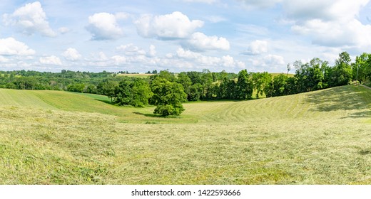 Agricultural Landscape Of Rows Of Freshly Mown Hay Drying On A Hillside In Rural Appalachia