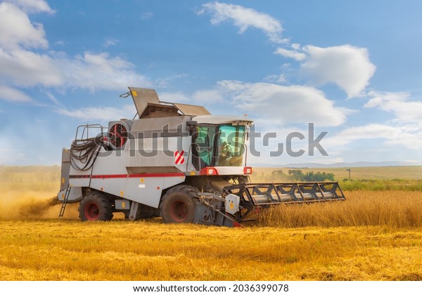 Agricultural machine harvester\
for harvesting ripe grain crops. Rotary combine working in the\
wheat field at the end of summer. Farming agricultural\
background.