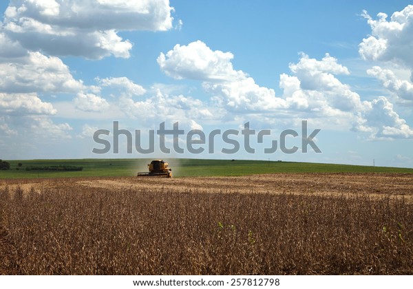 Agricultural machine harvesting soybean field. -\
Mato Grosso State -\
Brazil