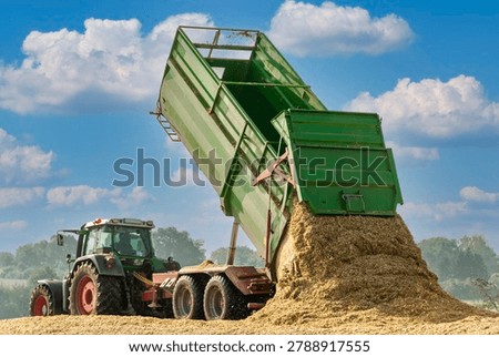 Agricultural machine unloading chopped maize on a depot - 0186