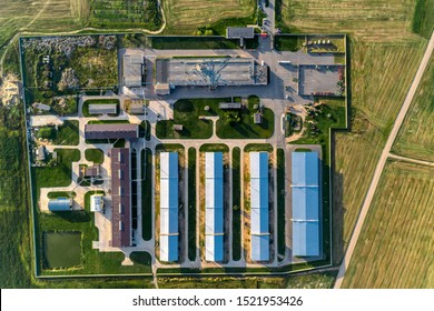 An Agricultural Plant In The Middle Of Boundless Agricultural Land. A Modern Enterprise For The Production Of Various Livestock Products. Aerial View.