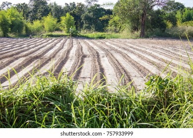 Plots Of Soil