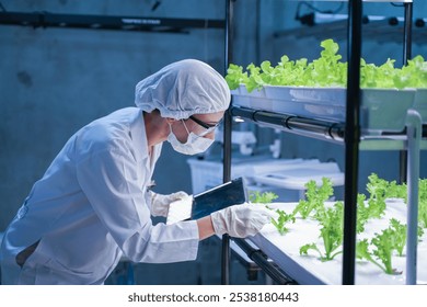 Agricultural researcher working in a greenhouse. Inside of Greenhouse Hydroponic Farm Eco system. Urban hydroponics farm with worker inspecting salad. - Powered by Shutterstock