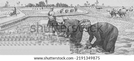 Agricultural scene, Khmer women planting rice. Portrait from Cambodia 2 Kak 0.2 Riel 1979 Banknotes.