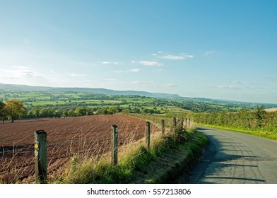 Agricultural Scenery Along A Country Road In The British Countryside.