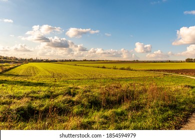 Agricultural Scenery. Fields In Zaventem, Belgium