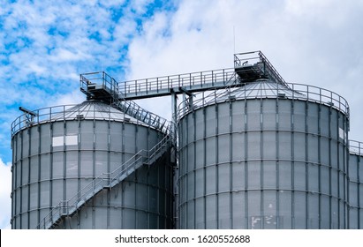 Agricultural silo at feed mill factory. Big tank for store grain in feed manufacturing. Seed stock tower for animal feed production. Commercial feed for livestock, swine and fish industries. 