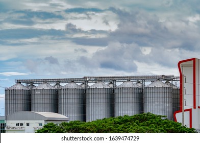 Agricultural Silo At Feed Mill Factory. Big Tank For Store Grain In Feed Manufacturing. Seed Stock Tower For Animal Feed Production. Commercial Feed For Livestock, Swine And Fish Industries. 