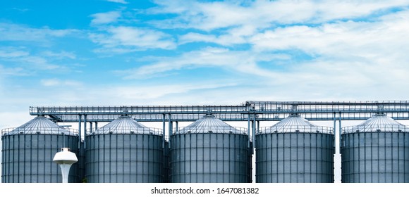 Agricultural silo at feed mill factory. Big tank for store grain in feed manufacturing. Seed stock tower for animal feed production. Commercial feed for livestock, swine and fish industries.  - Shutterstock ID 1647081382