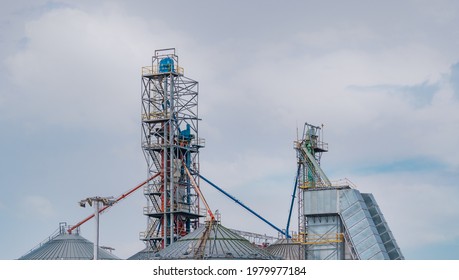 Agricultural Silo At Feed Mill Factory. Big Tank For Store Grain In Feed Manufacturing. Seed Stock Tower For Animal Feed Production. Commercial Feed For Livestock, Swine And Fish Industries.