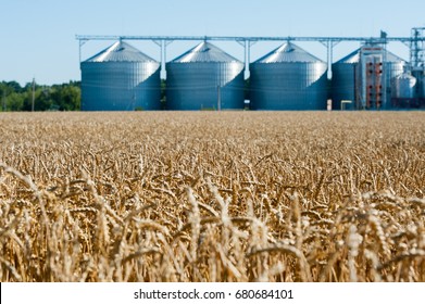 Agricultural Silo, Plantations. Set Of Storage Tanks Cultivated Agricultural Crops Processing Plant. Building Exterior, Storage And Drying Of Grains, Wheat, Corn, Soy, Hay