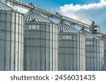 Agricultural Silos for storage and drying of grains. Agricultural silos for storage of grain harvest at an agricultural production farm. Agribusiness.