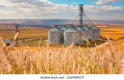 Agricultural Silos for storage and drying of grains, wheat, corn, soy, sunflower - Beautiful landscape of sunset over wheat field at summer