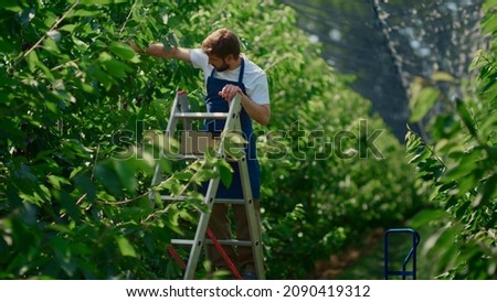 Similar – Image, Stock Photo Hardworking workers