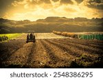 Agricultural technology revolutionizes farming with innovative tools and systems, including drones, automated machinery, smart irrigation, and precision farming techniques. By integrating IoT, AI