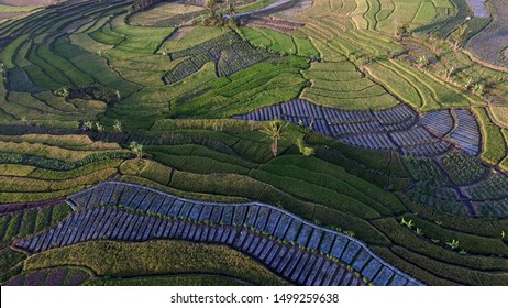 Contour Terracing High Res Stock Images Shutterstock