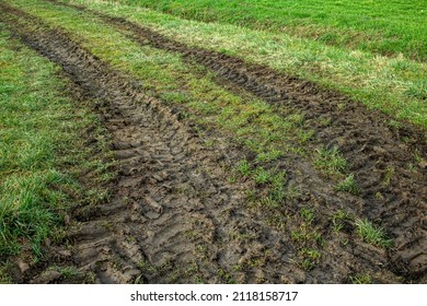 Landwirtschaftliches Fahrzeug mit großen Rädern hinterlässt tiefe Reifenspuren auf einer Wiese nach Regen hat die Bodenoberfläche gemildert