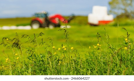 Agricultural view. Tractor working on field with straw packages, cereal bale of hay wrapped in plastic white foil. Focus on meadow flowers - Powered by Shutterstock