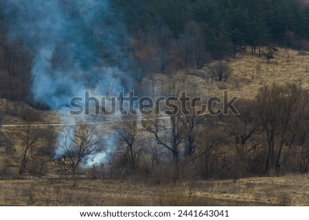 agricultural waste bonfires from dry grass and straw stubble burning with thick smoke polluting air during dry season causing global warming and carcinogen fumes.