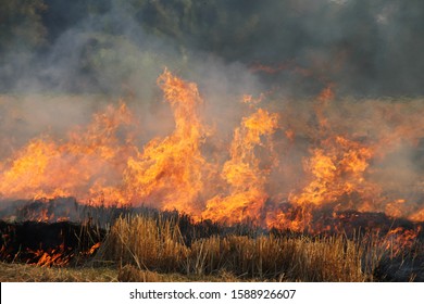 Grass Fire Images Stock Photos Vectors Shutterstock