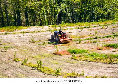Agricultural work in fields with tractor