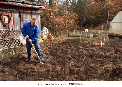 Agricultural Work. Portrait Of A Man Digging Soil With Shovel. Autumn Yard Work. A Farmer Preparing The Ground For The Winter.