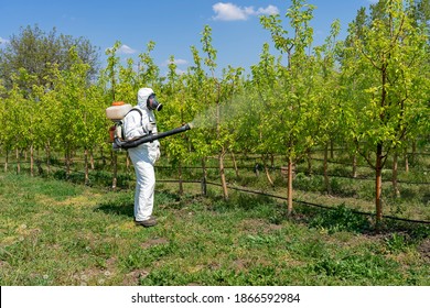 Agricultural Worker in Chemical-Resistant Suit Wearing Full-Face Respirator. Man in Coveralls With Gas Mask Spraying Orchard in Springtime. Farmer in Personal Protective Equipment Spraying Orchard.