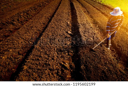 Agricultural worker with hoe.Handmade plowing farmer.Traditional agriculture. soft ligth in morning.