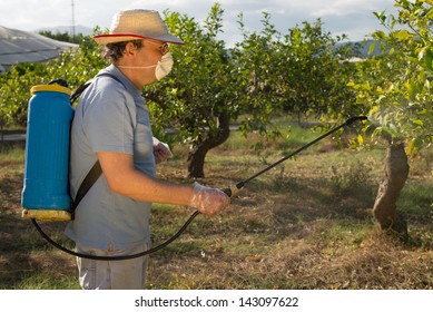 Agricultural Worker Spraying Pesticide On Fruit Trees