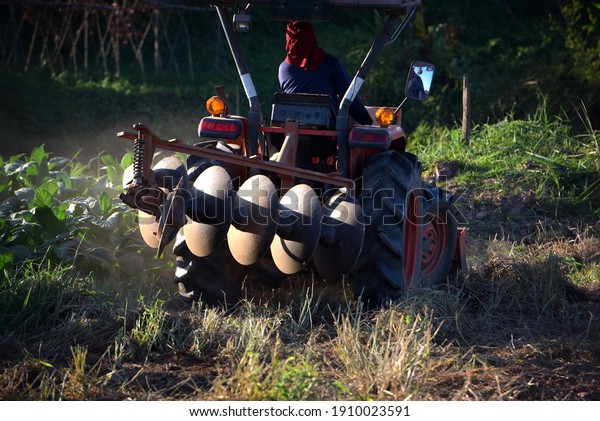 Agricultural\
workers with tractors,Farm work tractor at sunset modern\
agricultural transport working\
farmer