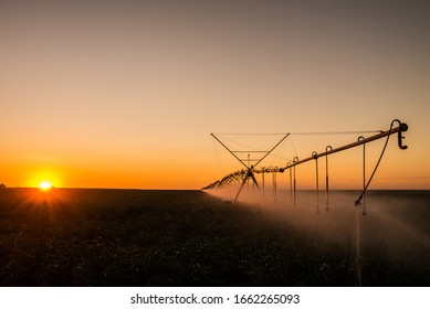 Agriculture - Aerial image, Pivot irrigation used to water plants on a farm. sunset, circular pivot irrigation with drone - Agribusiness - Shutterstock ID 1662265093