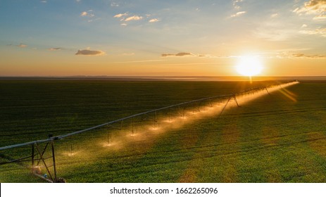 Agriculture - Aerial image, Pivot irrigation used to water plants on a farm. sunset, circular pivot irrigation with drone - Agribusiness - Shutterstock ID 1662265096