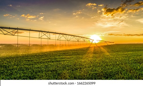 Agricultura - Imagem aérea, irrigação por pivô usada para regar plantas em uma fazenda. pôr do sol, irrigação por pivô circular com drone - Agronegócio