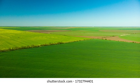 Agriculture Aerial View Green And Yellow Fields From Above Aerial View